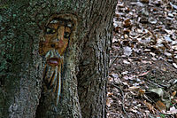 Bernhard Saalfeld - DSC00411 -1.jpg